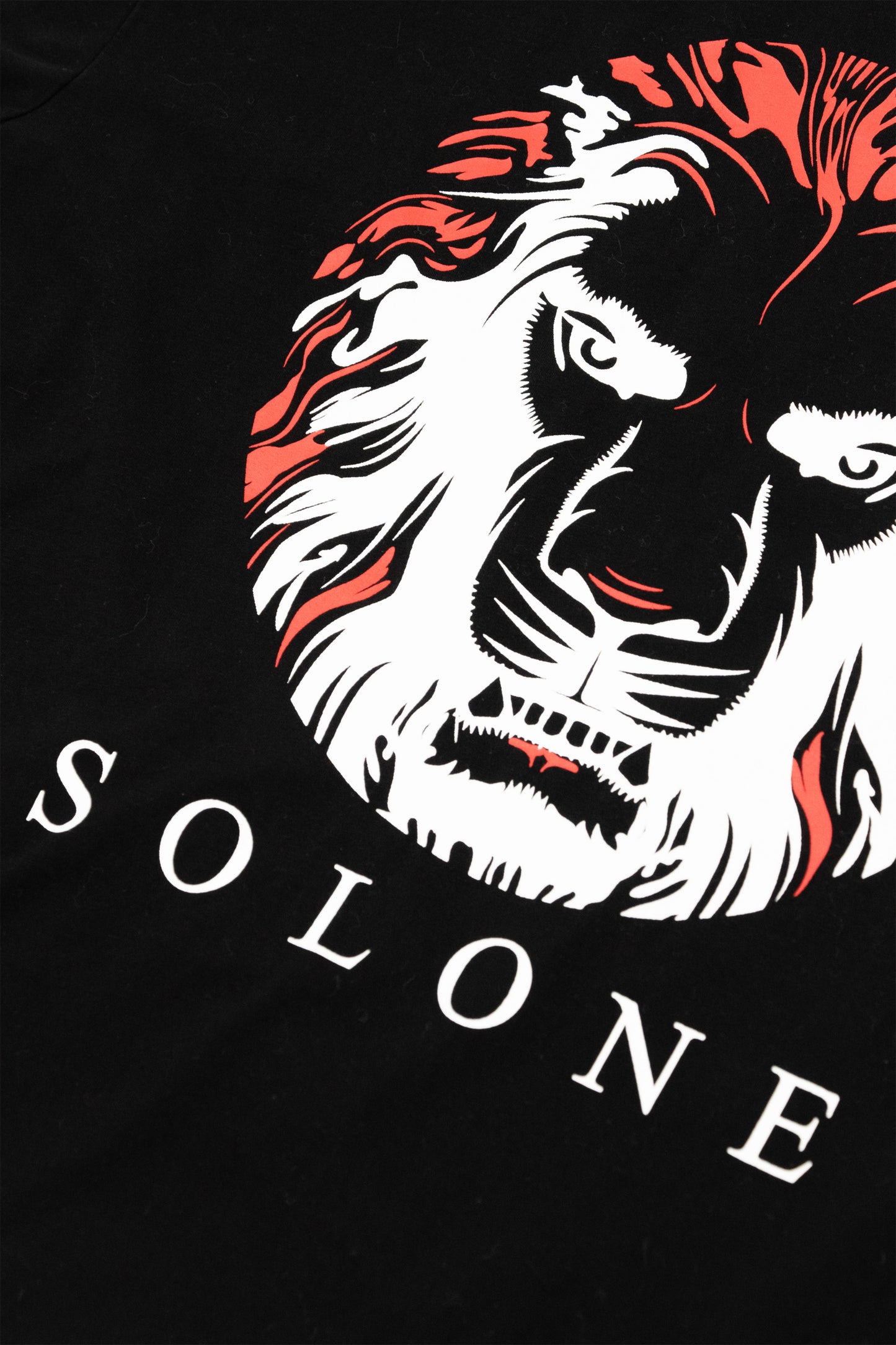 Lion Oversized T-Shirt