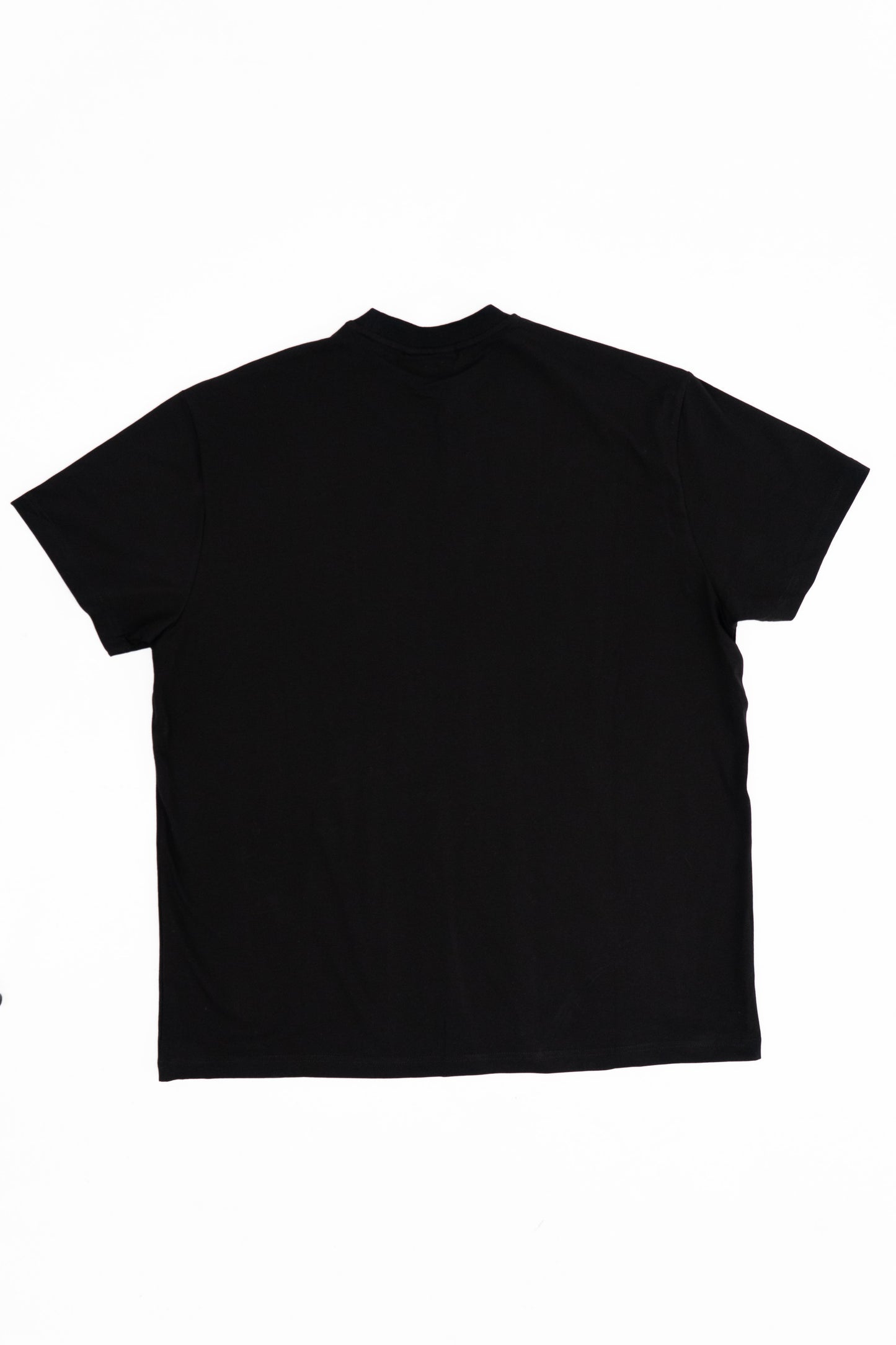 Lion Oversized T-Shirt